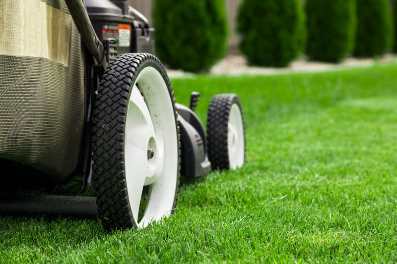 The Basics Of Great Lawn Maintenance