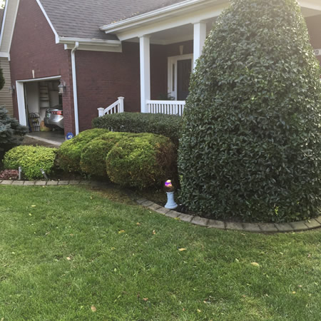 How to Get a Thick, Green Lawn Before Summer Heat Hits