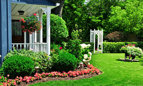 Late Summer Lawn Care Tips for a Healthier Yard in Louisville, KY