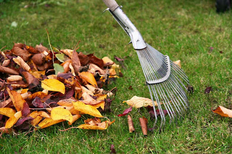 Taking The Stress Out Of Leaf Removal