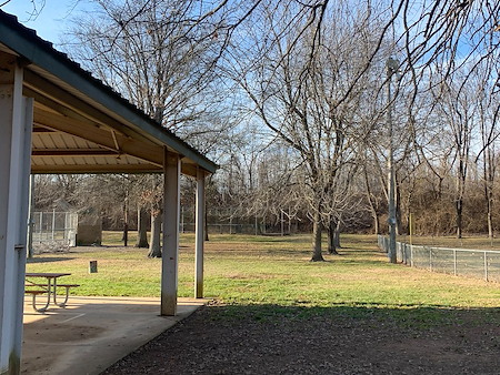 The Ultimate Spring Lawn Cleanup Guide for Louisville Homeowners