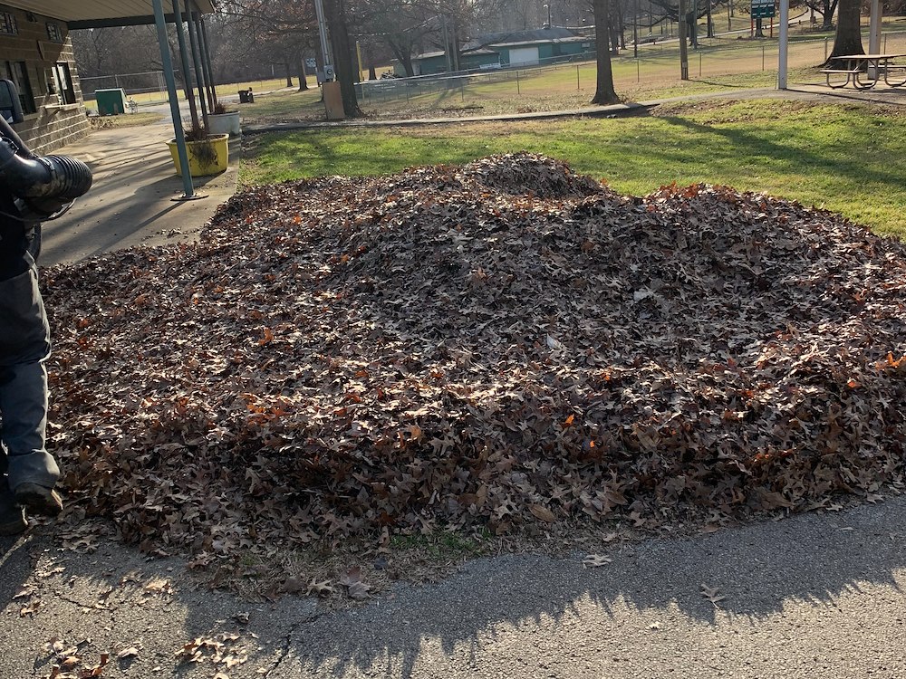 Late Season Leaf Removal at Germantown Little League Park