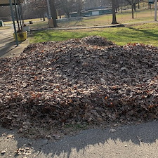 Late-Season-Leaf-Removal-at-Germantown-Little-League-Park 5