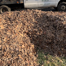 Late-Season-Leaf-Removal-at-Germantown-Little-League-Park 8